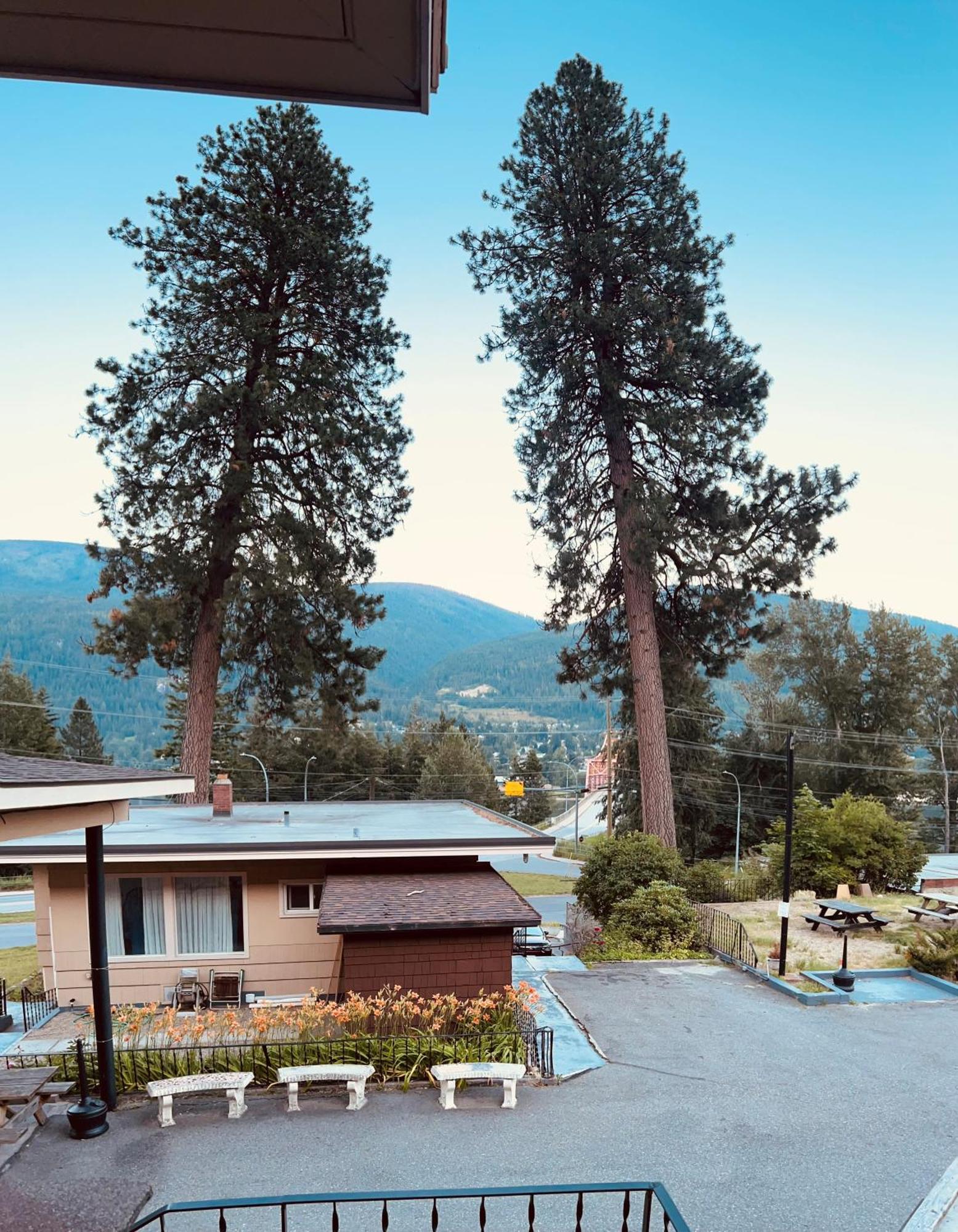 Villa Motel Nelson Kültér fotó
